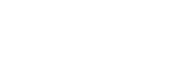 St. Petersburg Vehicle Lifts